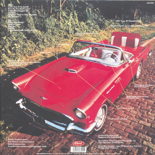 T-Bird Rhythm (LP)