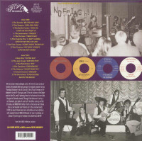 Preview: Last Of The Garage Punk Unknowns, Vol.4 (LP) Preview: Last Of The Garage Punk Unknowns, Vol.4 (LP)