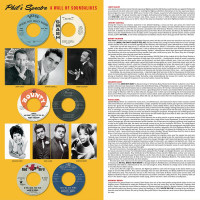 Preview: Phil's Spectre - A Wall Of Soundalikes (LP) Preview: Phil's Spectre - A Wall Of Soundalikes (LP)
