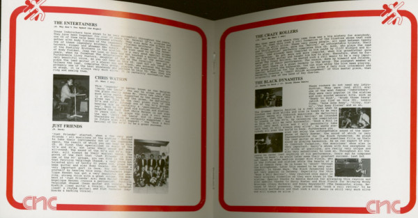 Rock & Roll Revival Of 90's (CD)