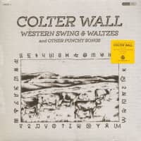 Preview: Western Swing & Waltzes And Other Punchy Songs (LP) Preview: Western Swing & Waltzes And Other Punchy Songs (LP)
