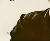Preview: Ritchie (LP) Preview: Ritchie (LP)