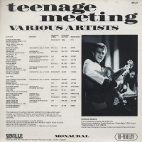 Preview: Teenage Meeting - A Rock And Roll Recollection Vol.2 Preview: Teenage Meeting - A Rock And Roll Recollection Vol.2