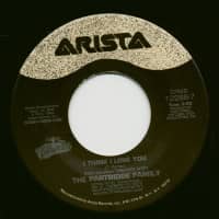 Preview: I Think I Love You - Doesn't Somebody Want To Be Wanted (7inch, 45rpm) Preview: I Think I Love You - Doesn't Somebody Want To Be Wanted (7inch, 45rpm)