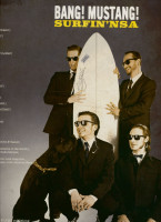 Preview: Surfin' NSA (LP) Preview: Surfin' NSA (LP)