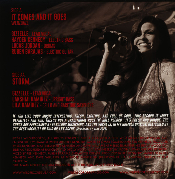 Don't Want You Anyway - Girls No Good (7inch, 45rpm)