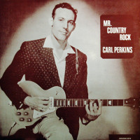 Preview: Mr. Country Rock (LP) Preview: Mr. Country Rock (LP)