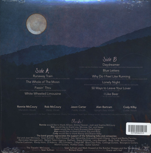 One Chord that Rings True (LP)