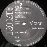 Preview: Almost Eighteen (LP, Maxi, 45rpm) Preview: Almost Eighteen (LP, Maxi, 45rpm)
