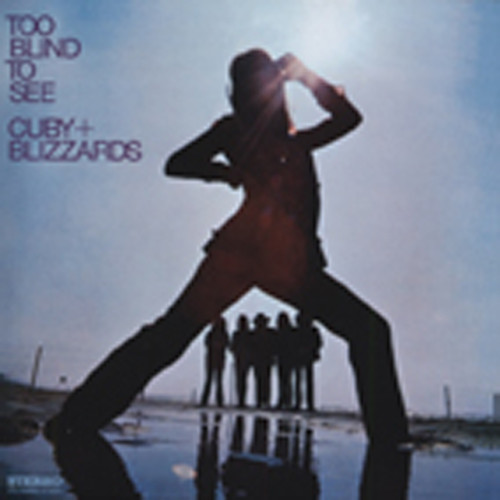 Too Blind To See Too Blind To See