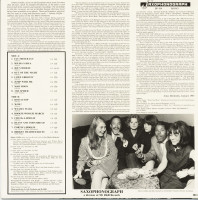 Preview: Fly Mister Fly (LP) Preview: Fly Mister Fly (LP)