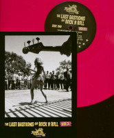 Preview: The Last Bastions Of Rock'n'Roll - Vol.3 (LP) Preview: The Last Bastions Of Rock'n'Roll - Vol.3 (LP)