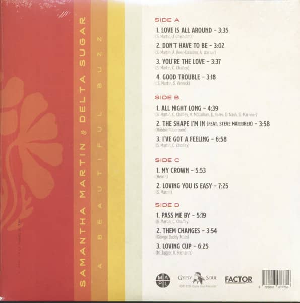 A Beautiful Buzz (2-LP)