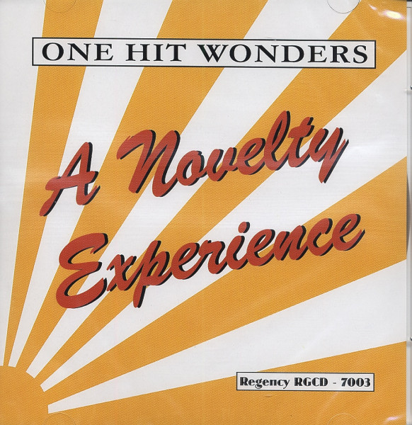 One Hit Wonders - A Novelty Experience One Hit Wonders - A Novelty Experience