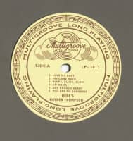 Preview: Here's Hayden Thompson (LP, 10inch) Preview: Here's Hayden Thompson (LP, 10inch)