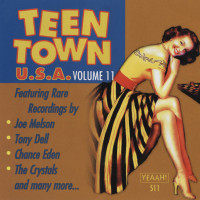 Preview: Vol.11, Teen Town USA Preview: Vol.11, Teen Town USA