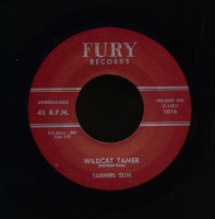 Preview: Wildcat Tamer - Number 9 Train (7inch, 45rpm) Preview: Wildcat Tamer - Number 9 Train (7inch, 45rpm)