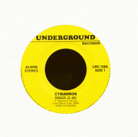 Preview: Rings - What The Hell I Got (7inch, 45rpm) Preview: Rings - What The Hell I Got (7inch, 45rpm)