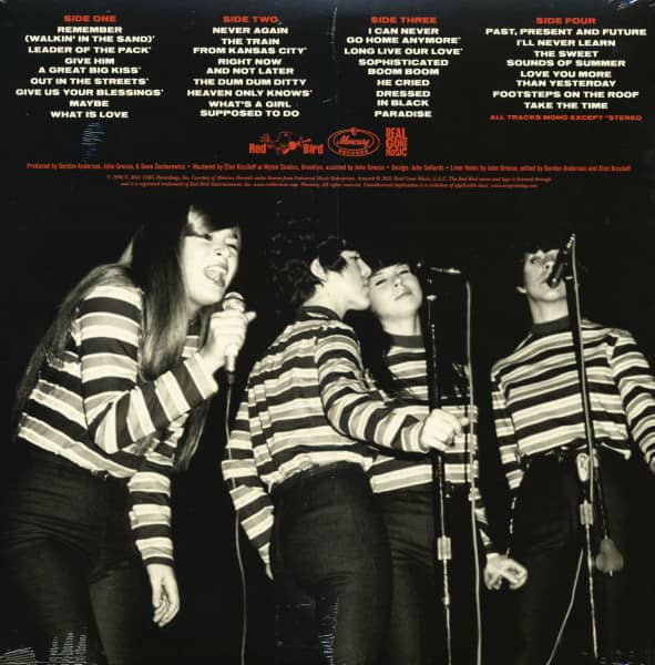 The Best Of The Red Bird & Mercury Recordings (2-LP, Limited Edition)