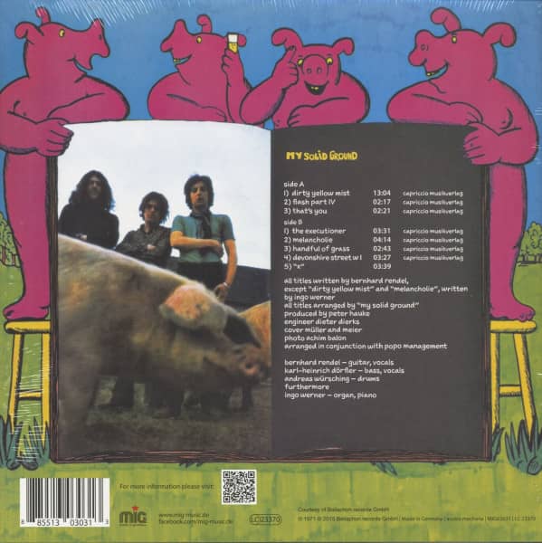 My Solid Ground (LP)