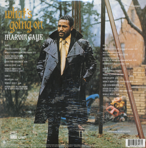What's Going On (2-LP, 180g Vinyl)