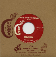 Preview: Danger Signals - If It's Lovin' You Want (7inch, 45rpm) Preview: Danger Signals - If It's Lovin' You Want (7inch, 45rpm)