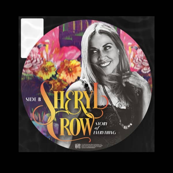 Story Of Everything (LP, Picture Disc)