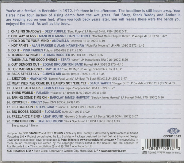 Stanley & Wiggs Present Incident At A Free Festival (CD)