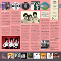Preview: Look But Don't Touch - Girl Group Sounds USA 1962-1966 (LP) Preview: Look But Don't Touch - Girl Group Sounds USA 1962-1966 (LP)