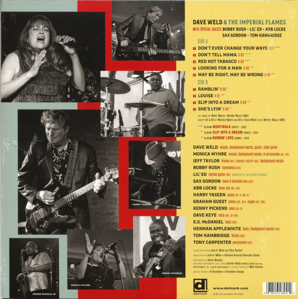 Bluesin' Through The Years (LP, colored Vinyl)