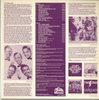 Preview: Please, Mr. Johnson (LP) Preview: Please, Mr. Johnson (LP)