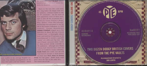 Two Dozen Dodgy Covers From The Pye Vaults (CD)