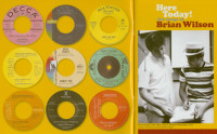 Preview: Here Today! The Songs Of Brian Wilson Preview: Here Today! The Songs Of Brian Wilson