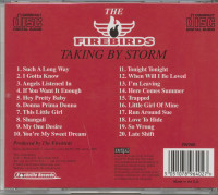 Preview: Taking By Storm (CD) Preview: Taking By Storm (CD)