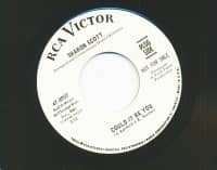 Preview: Could It Be You - We Have A Good Thing (7inch, 45rpm) Preview: Could It Be You - We Have A Good Thing (7inch, 45rpm)