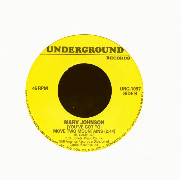 You Got What It Takes - (You've Got To) Move Two Mountains (7inch, 45rpm))