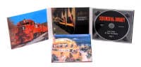 Preview: Sentimental Journey Vol.3 - Last Train To San Fernando (CD) Preview: Sentimental Journey Vol.3 - Last Train To San Fernando (CD)