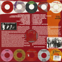 Preview: Teenage Shutdown Vol.4 - I'm A No-Count! (LP) Preview: Teenage Shutdown Vol.4 - I'm A No-Count! (LP)