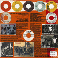 Preview: Teenage Shutdown Vol.10 - The World Ain't Round, It's Square! (LP) Preview: Teenage Shutdown Vol.10 - The World Ain't Round, It's Square! (LP)
