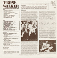 Preview: The Inventor Of The Electric Guitar Blues (LP) Preview: The Inventor Of The Electric Guitar Blues (LP)