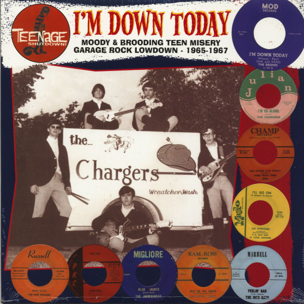 Teenage Shutdown Vol.6 - I'm Down Today (LP)